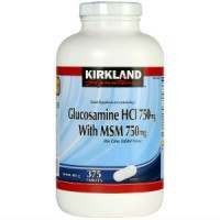 Kirkland Signature Glucosamine with MSM