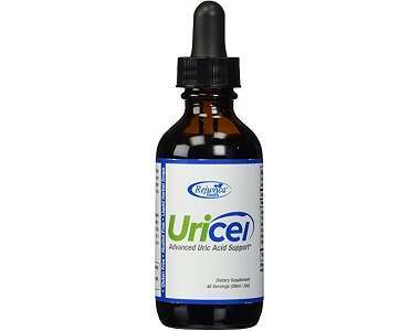 Uricel Gout product Review