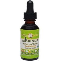 Moringa Source Moringa Extract