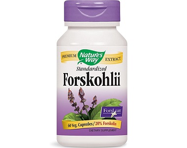 Nature's Way Forskohlii Review