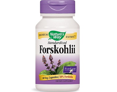 Nature's Way Forskohlii Review