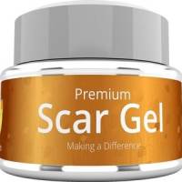 Healing Touch Premium Scar Gel